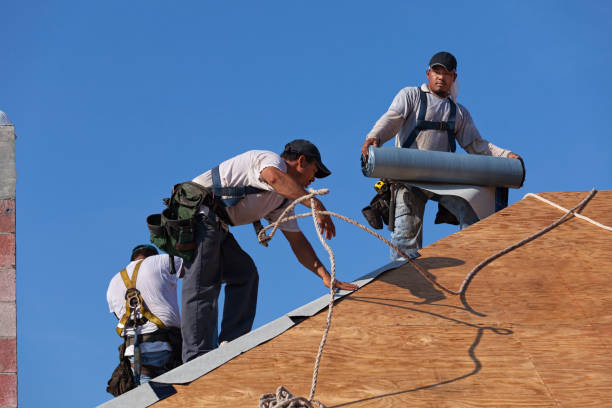 Best Flat Roof Repair Services  in Morristown, TN