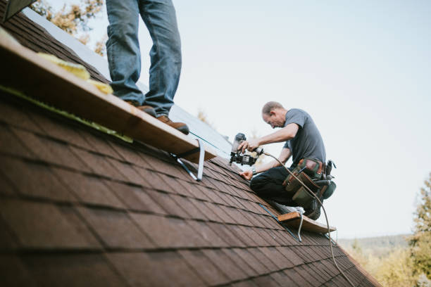 Best Metal Roofing Contractor  in Morristown, TN